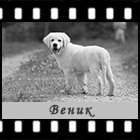 Ссылки