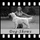 Dog-Shows